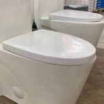 1 Piece Toilet