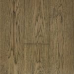 CS-Novella Hemingway