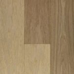 CS-Novella Steinbeck